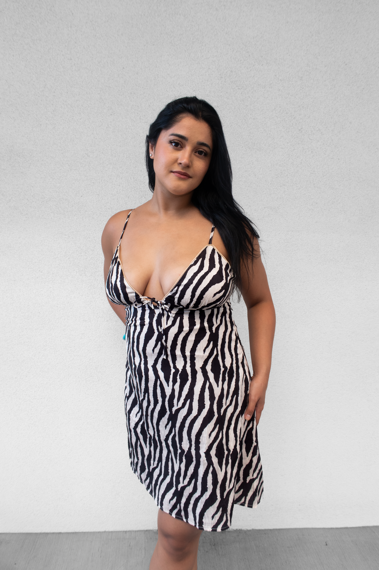 WILD SIDE PRINTED MINI DRESS