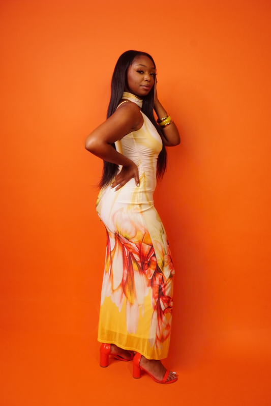 Goldenhour Sunset Dress